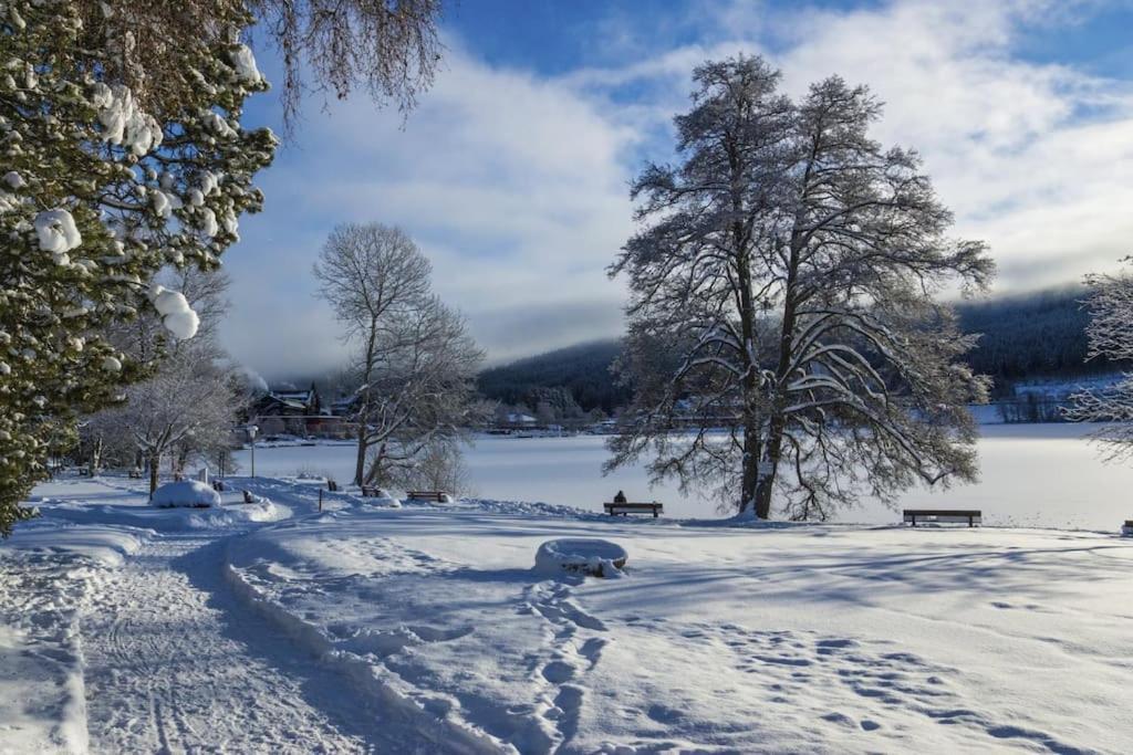 Sieben Tannen Titisee + Hochschwarzwald Card Apartment Exterior foto