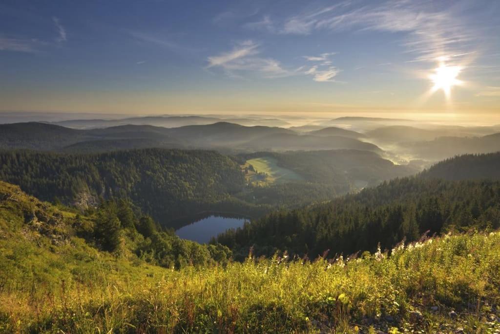 Sieben Tannen Titisee + Hochschwarzwald Card Apartment Exterior foto